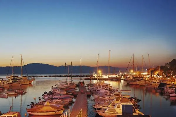 Anton Daire Malinska